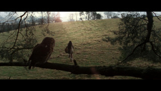 Кадр з фільму Торнадо