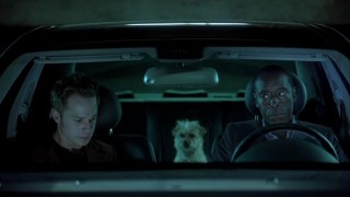 Кадр з фільму Собача проблема