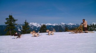 Кадр з фільму Снігові пригоди цуценят
