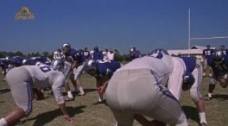 Кадр з фільму Паперовий лев