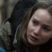 Кадр з фільму Зимова кістка