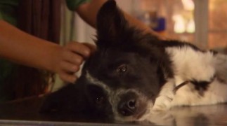 Кадр з фільму Сімейна зустріч