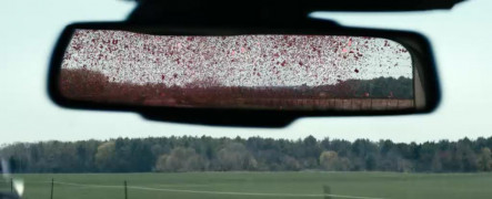 Кадр з фільму Ілюзія безпеки