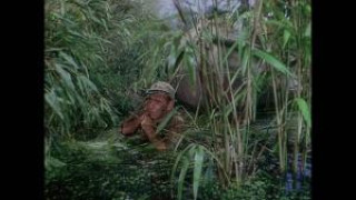 Кадр з фільму Дорога в Балі