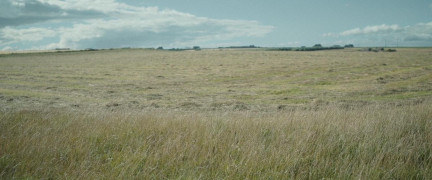 Кадр з фільму Втеча