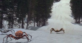 Кадр з фільму Крижані павуки