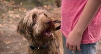 Кадр з фільму Думай як пес