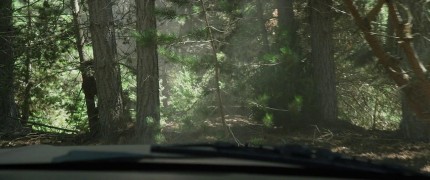 Кадр з фільму Прогулянки з динозаврами