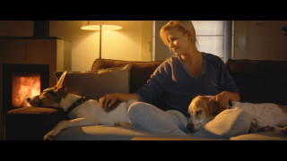 Кадр з фільму Ґамп: пес, який навчив людей жити