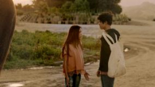 Кадр з фільму Втеча з Фіоною