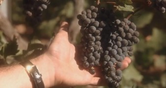 Кадр з фільму На узбіччі