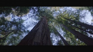 Кадр з фільму Земля кочівників