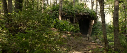 Кадр з фільму Вовк і лев