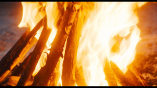 Кадр з фільму Золоте божество