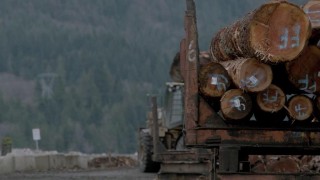 Кадр з фільму У лабіринті грізлі