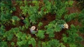 Кадр з фільму Ляммбок