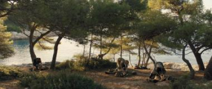 Кадр з фільму Мейдей