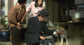 Кадр з фільму Хачіко