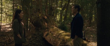 Кадр з фільму Після весілля