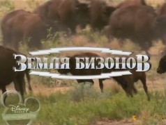 Кадр з фільму Земля бізонів
