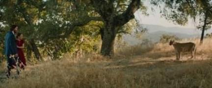 Кадр з фільму Екзотичне весілля