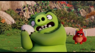 Кадр з фільму Angry Birds в кіно