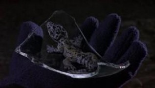 Кадр з фільму Фантоми