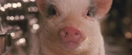 Кадр з фільму Шалена подорож