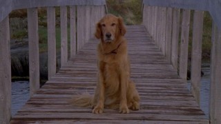 Кадр з фільму Джессі Стоун: Виправдати невинних