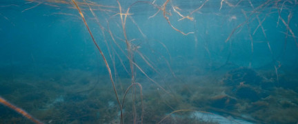 Кадр з фільму Втеча