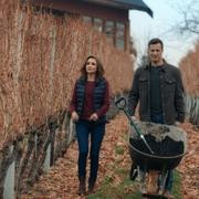 Кадр з фільму День святого Валентина у винограднику