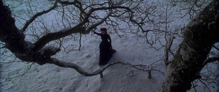 Кадр з фільму Портрет леді