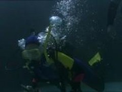 Кадр з фільму Акули