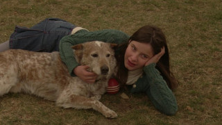 Кадр з фільму Марго на весіллі