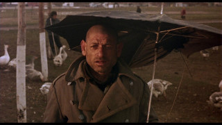 Кадр з фільму Час циган