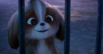 Кадр з фільму Секрети домашніх тварин 2