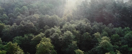 Кадр з фільму Кров вікінгів