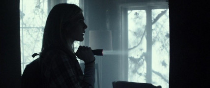 Кадр з фільму Вуаль