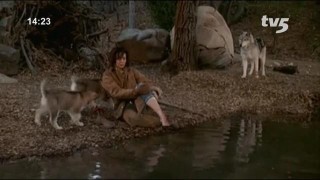 Кадр з фільму Ніч вовка