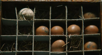 Кадр з фільму Привиди у Венеції