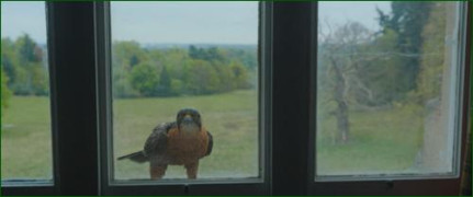 Кадр з фільму Крейвен-мисливець