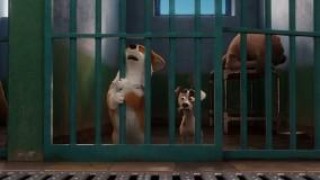 Кадр з фільму Королівський коргі