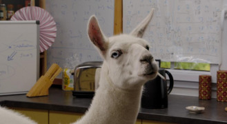 Кадр з фільму Махнемось тілами