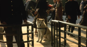 Кадр з фільму Хачіко