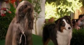 Кадр з фільму Поліцейський пес