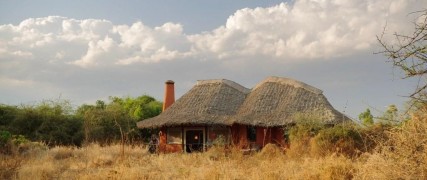 Кадр з фільму Хижаки