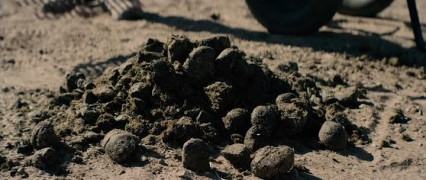 Кадр з фільму Друге життя