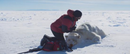 Кадр з фільму Працівник року