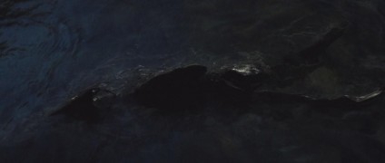 Кадр з фільму Влада