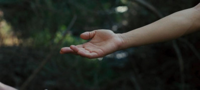 Кадр з фільму Дикий пес